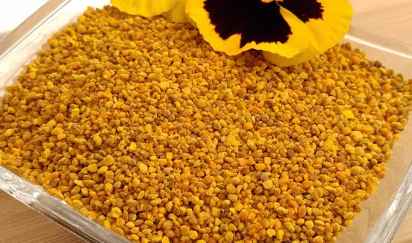 تصویر 1 از خرید گرده گل ایرانی + قیمت فروش استثنایی